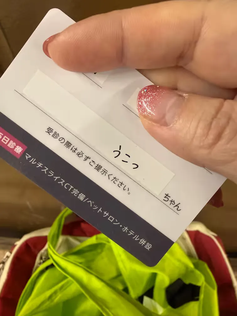うこっちゃんの診察券